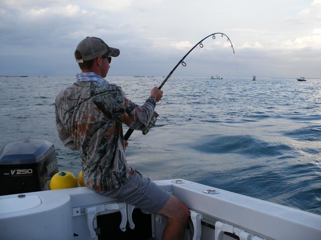 Nearshore fishing charters in Sarasota, FL