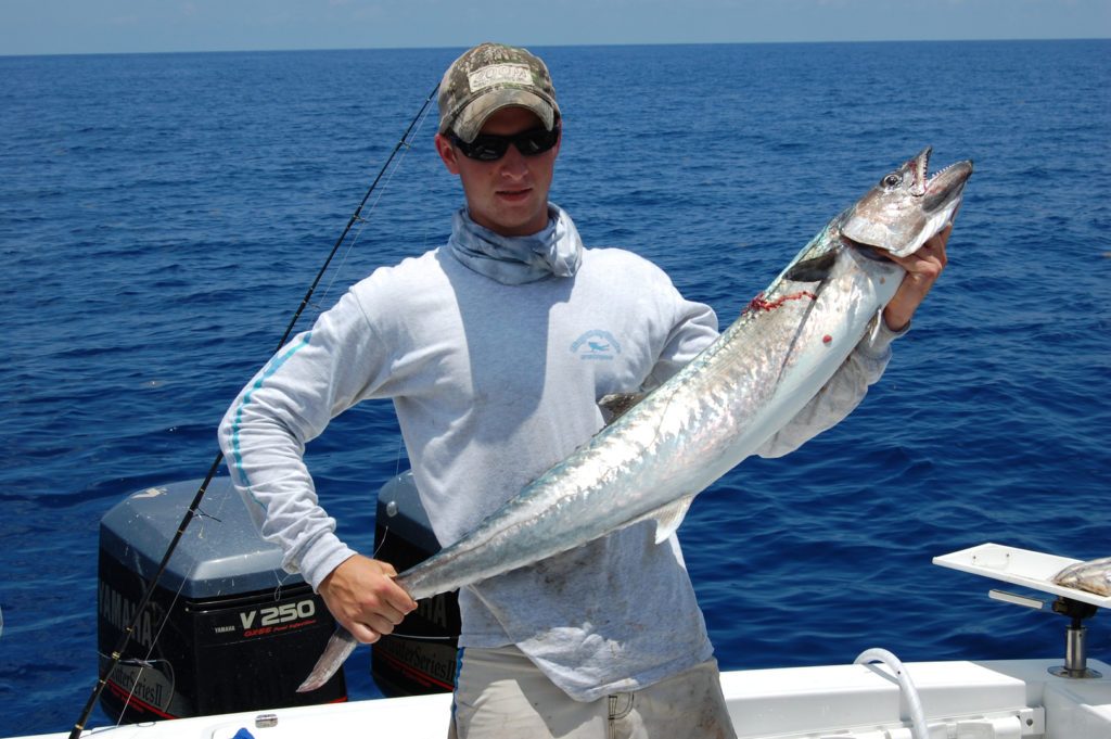 Nearshore fishing charters in Sarasota, FL